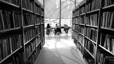 digital hub for growth